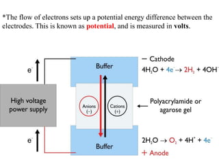 *The flow of electrons sets up a potential energy difference between the
electrodes. This is known as potential, and is measured in volts.
 
