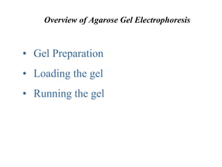• Gel Preparation
• Loading the gel
• Running the gel
Overview of Agarose Gel Electrophoresis
 