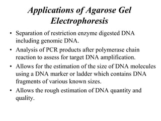 Applications of Agarose Gel
Electrophoresis
• Separation of restriction enzyme digested DNA
including genomic DNA.
• Analysis of PCR products after polymerase chain
reaction to assess for target DNA amplification.
• Allows for the estimation of the size of DNA molecules
using a DNA marker or ladder which contains DNA
fragments of various known sizes.
• Allows the rough estimation of DNA quantity and
quality.
 