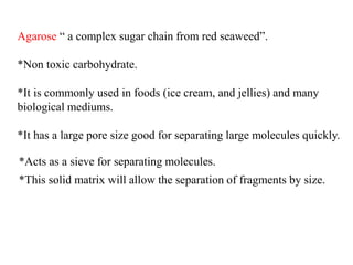 Agarose “ a complex sugar chain from red seaweed”.
*Non toxic carbohydrate.
*It is commonly used in foods (ice cream, and jellies) and many
biological mediums.
*It has a large pore size good for separating large molecules quickly.
*Acts as a sieve for separating molecules.
*This solid matrix will allow the separation of fragments by size.
 