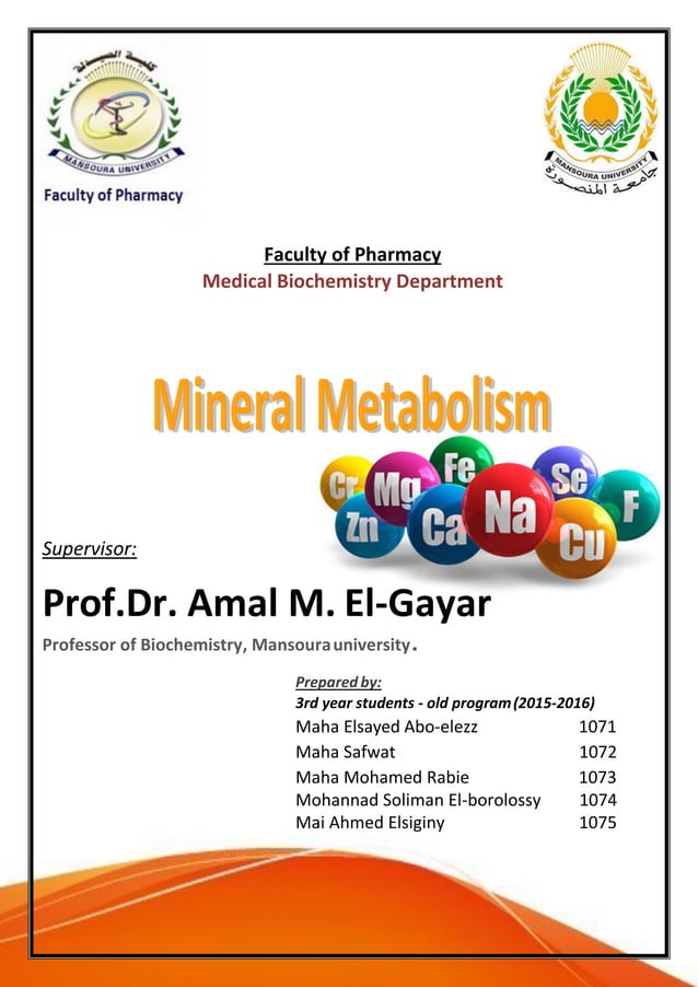 Minerals Metabolism PDF
