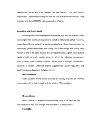 meristematic tissues will likely develop into root tissue or into shoot tissue,
respectively. The same type of explant from the cultivar Fukuchi-howaito was used
by Ayabe and Sumi (1998) for micropropagation of garlic.
Murashige and Skoog Media
Optimal growth and morphogenesis of tissues may vary for different plants
according to their nutritional requirements (Saad and Elshahed, 2012). However,
tissues from different parts of the plants may also have different requirements for
satisfactory growth (Murashige and Skoog, 1962). Murashige and Skoog (MS)
medium is one of the basic medium that is frequently used. A plant tissue culture
media should generally contain some or all of the following components:
macronutrients, micronutrients, vitamins, amino acids or nitrogen supplements,
source(s) of carbon, undefined organic supplements, growth regulators and
solidifying agents (Saad and Elshahed, 2012).
Macromolecule
Stock solutions of the macro nutrients are usually prepared of 10 times
concentration of the final strength and stored at +4 0
C temperature.
Micromolecule
Micronutrients stock solutions are generally made up of 100 times the
concentration of their final strength and stored at +4 0
C temperature.
Iron EDTA
 