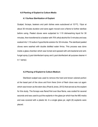 4.0 Planting of Explant to Culture Media
4.1 Surface Sterilization of Explant
Scalpel, forceps, beakers and petri dishes were autoclaved at 1210
C, 15psi at
about 30 minutes duration and were again moved over a flame to further sterilize
before using. Peeled cloves were subjected to 1:10 dishwashing liquid for 30
minutes, then transferred to a beaker with 70% ethyl alcohol for 5 minutes and was
soaked into 1:10 sodium hypochlorite solution for 30 minutes. The sterilized peeled
cloves were washed with double distilled water thrice. This process was done
inside a glass chamber which was fumed and spewed with anti-bacterial and anti-
fungal spray (Lysol disinfectant spray and Lysol disinfectant all purpose cleaner 4
in 1 spray).
4.2 Placing of Explant to Culture Medium
Sterilized scalpel was used to remove the hard and brown colored portion
at the basal part of the clove and from there 2mm of flesh clove was cut again
which was known as the stem disc (Peat & Jones, 2012) that served as the explant
for this study. The forceps was flared first over blue flame, was cooled for several
seconds and was used to put the explants in the glass jar which has the MS media
and was covered with a plastic lid. In a single glass jar, eight (8) explants were
placed.
 