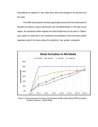 biosynthesis of cytokinin in the nodal stem which are thought to be derived from
the roots.
The SAM (shoot apical meristem) generates almost all of the aerial parts of
the plant and there is active cell division and cell differentiation in this that occurs
region. As mentioned earlier highest the shoot length that can be seen in Table 2
was means for observed in the combined concentrations of the two plant growth
regulators used in the study where Kn (cytokinin) has greater proportion
Figure 3. Shoot response of varying concentrations of MS media without PGR on explant
of Allium sativum L. Ilocos White.
0%
20%
40%
60%
80%
100%
120%
Day 0 Day 3 Day 6 Day 9 Day 12 Day 15 Day 18 Day 21
growthpercentage
Shoot Formation In MS Media
25% MS 50% MS 75% MS 100% MS
 