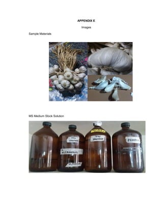 APPENDIX E
Images
Sample Materials
MS Medium Stock Solution
 