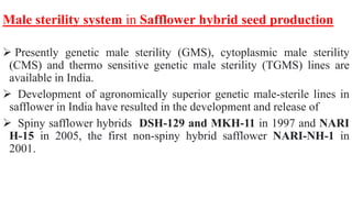  Presently genetic male sterility (GMS), cytoplasmic male sterility
(CMS) and thermo sensitive genetic male sterility (TGMS) lines are
available in India.
 Development of agronomically superior genetic male-sterile lines in
safflower in India have resulted in the development and release of
 Spiny safflower hybrids DSH-129 and MKH-11 in 1997 and NARI
H-15 in 2005, the first non-spiny hybrid safflower NARI-NH-1 in
2001.
Male sterility system in Safflower hybrid seed production
 
