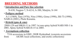 BREEDING METHODS
• Introduction and Pure line selection
N-630, Nagpur-7, N-62-8, A-300, Manjira, S-144
• Pedigree method
A-1 (1969), Tara (1976), Nira (1986), Girna (1990), JSI-73 (1998),
NARI-6 (2001), Phule Kusuma.
• Hybrid (gms & cms)
DSH-129 and MKH-11 in 1997 1st non spiny hybrid NARI-NH-1 in
2001, Spiny hybrid NARI-H-15 in 2005.
• Germplasm collection
7316 accessions in GMU, DOR Hyderabad. (consists accessions
from AICRP, local collections, and exotic collections)
 
