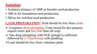 Isolation
• Isolation distance of 1000 m breeder seed production
• 400 m for foundation seed production
• 200 m for certified seed production
LAND PREPARATION:field should be free from clods.
 it requires deep ploughing. Crop raised for dye purpose
require more and fine tilth than oil crop.
 One deep ploughing with M.B. plough is sufficient
followed by 2-3 harrowing with planking.
Land should be free from volunteer plant
 