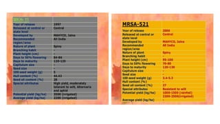 8510 hsp safflower.pptx