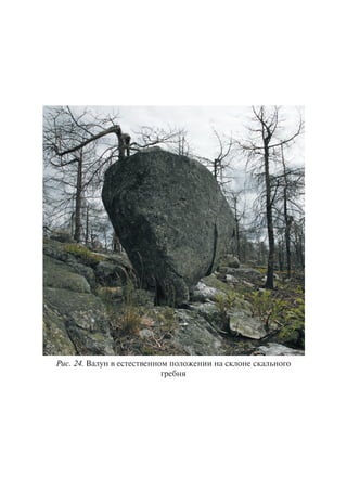 Ðèñ. 24. Âàëóí â åñòåñòâåííîì ïîëîæåíèè íà ñêëîíå ñêàëüíîãî
ãðåáíÿ
Copyright ОАО «ЦКБ «БИБКОМ» & ООО «Aгентство Kнига-Cервис»
 