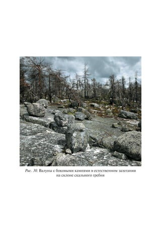 Ðèñ. 30. Âàëóíû ñ áîêîâûìè êàìíÿìè â åñòåñòâåííîì çàëåãàíèè
íà ñêëîíå ñêàëüíîãî ãðåáíÿ
Copyright ОАО «ЦКБ «БИБКОМ» & ООО «Aгентство Kнига-Cервис»
 