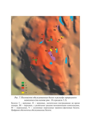Ðèñ. 7. Ïîëîæåíèå îáñëåäîâàííûõ áîëîò â ðåëüåôå ïðèðîäíîãî
êîìïëåêñà (íà îñíîâå ðèñ. 18 â ðàçäåëå 3.3)
Áîëîòà: I – âåðõîâûå, II – âåðõîâûå, çíà÷èòåëüíî ïîñòðàäàâøèå âî âðåìÿ
ïîæàðà, III – âåðõîâûå, ñ ðàçâèòûìè ãðÿäîâî-ìî÷àæèííûìè êîìïëåêñàìè,
IV – ïåðåõîäíûå, V – ñêëîíîâûå ïåðåõîäíûå òðàâÿíî-ñôàãíîâûå áîëîòà.
Öèôðàìè îáîçíà÷åíû îáñëåäîâàííûå áîëîòà
Copyright ОАО «ЦКБ «БИБКОМ» & ООО «Aгентство Kнига-Cервис»
 