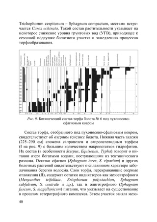 40
Trichophorum cespitosum – Sphagnum compactum, местами встре-
чается Carex echinata. Такой состав растительности указывает на
некоторое снижение уровня грунтовых вод (УГВ), приводящее к
сезонной подсушке болотного участка и замедлению процессов
торфообразования.
Рис. 9. Ботанический состав торфа болота № 6 под пухоносово-
сфагновым ковром
Состав торфа, отобранного под пухоносово-сфагновым ковром,
свидетельствует об озерном генезисе болота. Нижняя часть залежи
(225–290 см) сложена сапропелем и сапропелевидным торфом
(I на рис. 9) с большим количеством макроостатков гидрофитов.
Их состав (в особенности Scirpus, Equisetum, Typha) говорит о пи-
тании озера богатыми водами, поступающими из тектонического
разлома. Остатки сфагнов (Sphagnum teres, S. riparium) и других
болотных растений свидетельствуют о сплавинном характере забо-
лачивания берегов водоема. Слои торфа, перекрывающие озерные
отложения (II), содержат остатки индикаторов как мезоевтрофного
(Menyanthes trifoliata, Eriophorum polystachion, Sphagnum
subfulvum, S. centrale и др.), так и олиготрофного (Sphagnum
fuscum, S. magellanicum) питания, что указывает на существование
в прошлом гетеротрофного комплекса. Затем участок заняла мезо-
Copyright ОАО «ЦКБ «БИБКОМ» & ООО «Aгентство Kнига-Cервис»
 