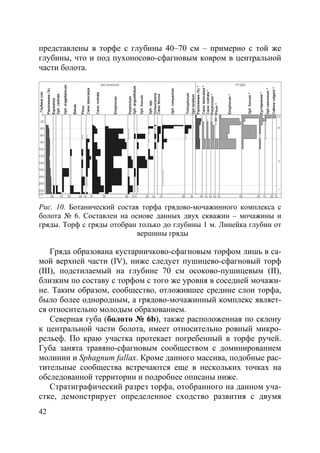 42
представлены в торфе с глубины 40–70 см – примерно с той же
глубины, что и под пухоносово-сфагновым ковром в центральной
части болота.
Рис. 10. Ботанический состав торфа грядово-мочажинного комплекса с
болота № 6. Составлен на основе данных двух скважин – мочажины и
гряды. Торф с гряды отобран только до глубины 1 м. Линейка глубин от
вершины гряды
Гряда образована кустарничково-сфагновым торфом лишь в са-
мой верхней части (IV), ниже следует пушицево-сфагновый торф
(III), подстилаемый на глубине 70 см осоково-пушицевым (II),
близким по составу с торфом с того же уровня в соседней мочажи-
не. Таким образом, сообщество, отложившее средние слои торфа,
было более однородным, а грядово-мочажинный комплекс являет-
ся относительно молодым образованием.
Северная губа (болото № 6b), также расположенная по склону
к центральной части болота, имеет относительно ровный микро-
рельеф. По краю участка протекает погребенный в торфе ручей.
Губа занята травяно-сфагновым сообществом с доминированием
молинии и Sphagnum fallax. Кроме данного массива, подобные рас-
тительные сообщества встречаются еще в нескольких точках на
обследованной территории и подробнее описаны ниже.
Стратиграфический разрез торфа, отобранного на данном уча-
стке, демонстрирует определенное сходство развития с двумя
Copyright ОАО «ЦКБ «БИБКОМ» & ООО «Aгентство Kнига-Cервис»
 