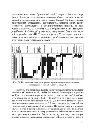 43
соседними участками. Придонный слой (I на рис. 11) сложен тор-
фом с большим содержанием остатков Carex rostrata, а также
вахтой и древесными остатками (сосна, береза). Он был отложен
мезотрофным облесенным сообществом, которое затем также
сменилось сообществом с доминированием пушицы и осок
(Carex lasiocarpa, C. rostrata). Состав сфагновых мхов (Sphagnum
papillosum, S. lindbergii) указывает, что участок был в достаточ-
ной мере обводнен (II). Только в верхних 25 см торфа присутст-
вуют остатки пухоноса и молинии, преобладающих в современ-
ном травяно-кустарничковом ярусе (III).
Рис. 11. Ботанический состав торфа из травяно-сфагнового склонового
сообщества северной губы болота № 6
Известно, что склоновые болота имеют низкую скорость торфона-
копления (Kuznetsov et al., 1996). На болоте Межозерное в районе
оз. Тулос в котловине торфонакопление составляет около 0,8 мм/год,
в то время как на склоне – 0,28–0,35 мм/год и за 8 тыс. лет в ниж-
ней части склона отложилось только 2,25 м торфа. При этом забо-
лачивание на склоне началось на 2,5 тыс. лет раньше, чем заболо-
тилось озеро в центральной котловине. Не исключено, что в нашем
случае, когда в центре ложбины существовало озеро, по наклон-
ным долинам водотоков к нему развивались облесенные сообщест-
ва с грунтовым питанием. Затем по всему массиву распростра-
нились осоково-пушицевые мезоолиготрофные ковры и топи и
Copyright ОАО «ЦКБ «БИБКОМ» & ООО «Aгентство Kнига-Cервис»
 