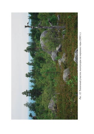 Ðèñ.12.Òèïè÷íûéó÷àñòîêëåñîòóíäðûíàâåðøèíåãîðû(2003ã.)
Copyright ОАО «ЦКБ «БИБКОМ» & ООО «Aгентство Kнига-Cервис»
 