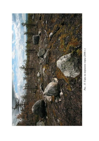 Ðèñ.13.Ãàðüíàâåðøèíåãîðû(2008ã.)
Copyright ОАО «ЦКБ «БИБКОМ» & ООО «Aгентство Kнига-Cервис»
 