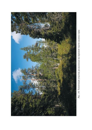 Ðèñ.14.Òèïè÷íûéó÷àñòîêðåäêîëåñüÿíàâåðõíåé÷àñòèñêëîíàãîðû
Copyright ОАО «ЦКБ «БИБКОМ» & ООО «Aгентство Kнига-Cервис»
 