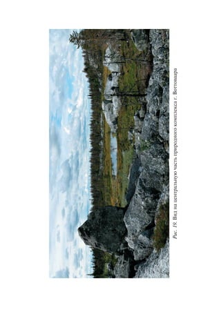 Ðèñ.19.Âèäíàöåíòðàëüíóþ÷àñòüïðèðîäíîãîêîìïëåêñàã.Âîòòîâààðà
Copyright ОАО «ЦКБ «БИБКОМ» & ООО «Aгентство Kнига-Cервис»
 