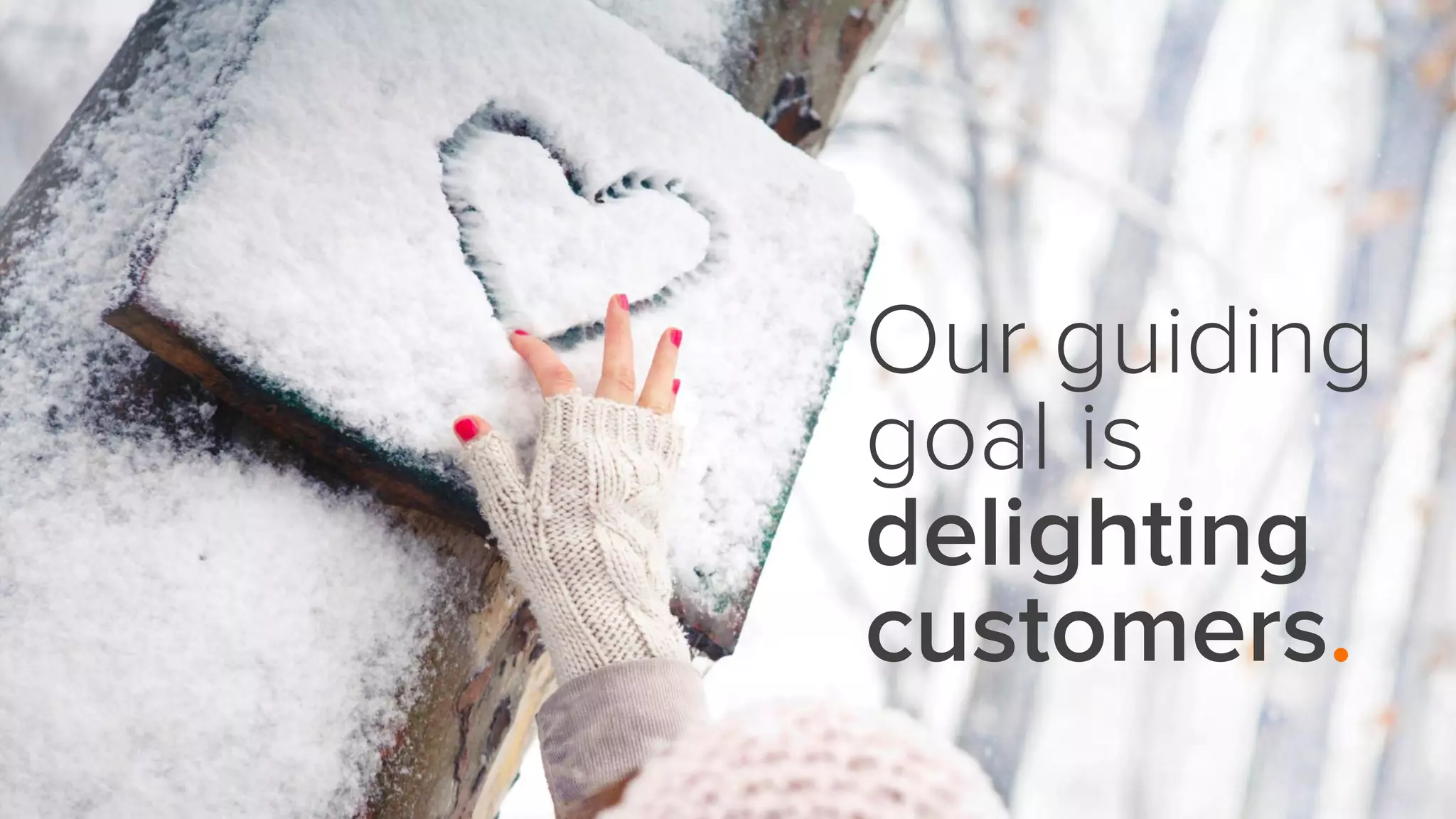 Our guiding
goal is
delighting
customers.
 