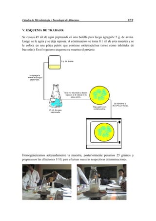  microbiologia-de-alimentos-laboratorios-