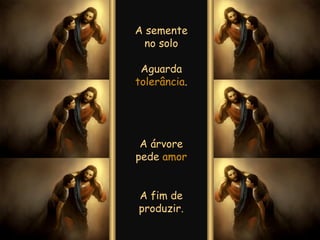 A semente no solo Aguarda  tolerância . A árvore pede  amor A fim de produzir. 