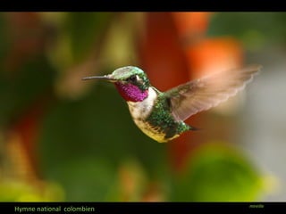 Hymne national colombien mireille 
