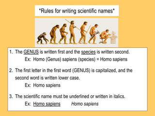 *Rules for writing scientific names*
1. The GENUS is written first and the species is written second.
Ex: Homo (Genus) sapiens (species) = Homo sapiens
2. The first letter in the first word (GENUS) is capitalized, and the
second word is written lower case.
Ex: Homo sapiens
3. The scientific name must be underlined or written in italics.
Ex: Homo sapiens Homo sapiens
 