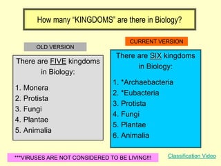 How many “KINGDOMS” are there in Biology?
There are FIVE kingdoms
in Biology:
1. Monera
2. Protista
3. Fungi
4. Plantae
5. Animalia
There are SIX kingdoms
in Biology:
1. *Archaebacteria
2. *Eubacteria
3. Protista
4. Fungi
5. Plantae
6. Animalia
OLD VERSION
CURRENT VERSION
***VIRUSES ARE NOT CONSIDERED TO BE LIVING!!! Classification Video
 