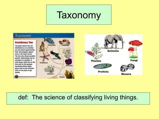 Taxonomy
def: The science of classifying living things.
 