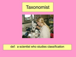 Taxonomist
def: a scientist who studies classification
 