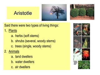 Aristotle
Said there were two types of living things:
1. Plants
a. herbs (soft stems)
b. shrubs (several, woody stems)
c. trees (single, woody stems)
2. Animals
a. land dwellers
b. water dwellers
c. air dwellers
 