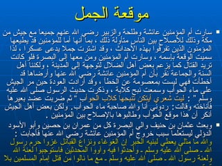 موقعة الجمل سارت أم المؤمنين عائشة وطلحة والزبير رضي الله عنهم جميعا مع جيش من مكة وذلك للأصلاح بين الناس متأولة ذلك ، بما أنها أما للمؤمنين قد يطيعها المؤمنون الذين تفرقوا بهذه الأحداث ، وقد اشترت جملا يدعى عسكرا ، لذا سميت الوقعة بإسمه ، وسارت أم المؤمنين ومن معها إلى البصرة فلو كانت تريد القتال كما يزعم بعض أهل الضلال لتوجهة إلى المدينة ، ولكننا أهل السنة والجماعة نقر بأن أم المؤمنين عائشة رضي الله عنها وأرضاها قد أخطأت فهي ليست بمعصومة عن الخطأ ، وقد أرادت العودة حين مر الجيش على ماء الحوأب وسمعت نبح كلابة ، وذكرت حديث الرسول صلى الله عليه وسلم ”   ‏ :‏   ليت شعري أيتكن   تنبحها كلاب الحوأب ‏  ” ‏ ثم ضربت عضد بعيرها فأناخته وقالت‏ :‏  ردوني أنا والله صاحبة   ماء الحوأب‏ .‏   ولكن بعض أهل الجيش أنكر أن هذا موقع الحوأب وطالبوها بالإصلاح بين المؤمنين  . وبعث عثمان بن حنيف والي البصرة كل من عمران بن حصين وأبو الأسود الدؤلي ليستعلما سبب خروج أم المؤمنين عائشة رضي الله عنها فأجابت  :‏   والله ما مث لي  يعطي لبنيه الخبر إن الغوغاء ونزاع القبائل غزوا حرم رسول الله ـ صلى الله عليه وسلم ـ وأحدثوا فيه وآووا المحدثين فاستوجبوا لعنة الله ولعنة رسول الله ـ صلى الله عليه وسلم ـ مع ما نالوا من قتل إمام المسلمين بلا ترةٍ 
