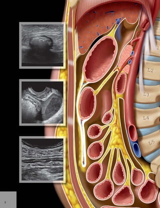 Diagnostic Ultrasound: Abdomen and Pelvis 2nd Edition Aya Kamaya | PDF