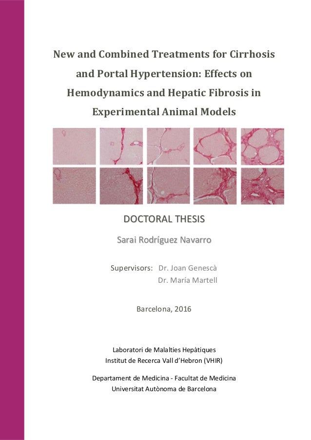 Phd thesis hypertension