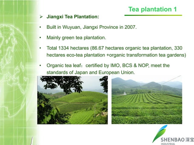 Introduction of Shenbao-我们工厂背景介绍 | PPT