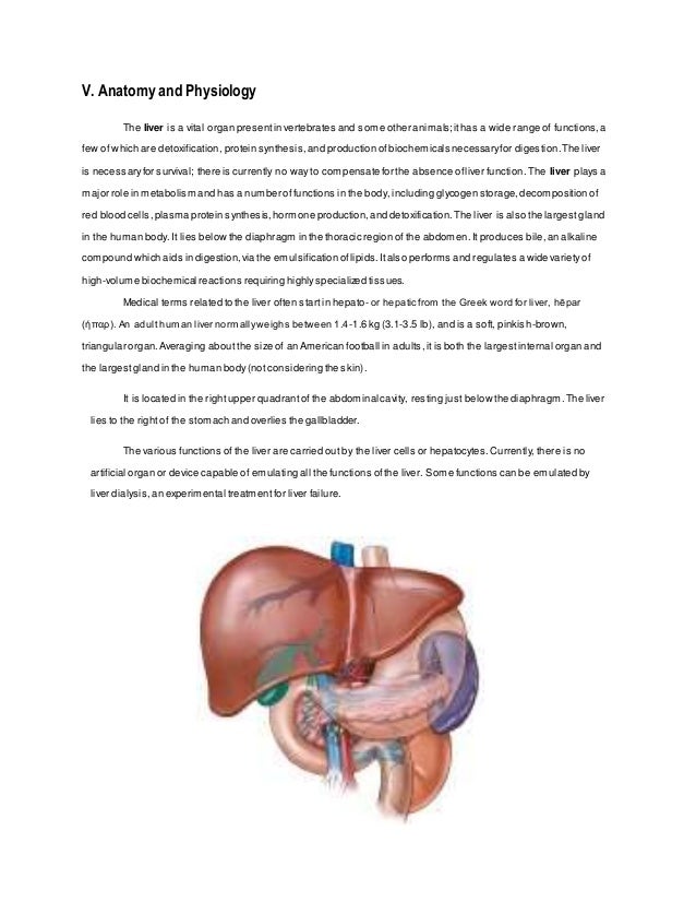Anatomy and physiology case study help