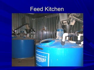 Feed KitchenFeed Kitchen
 