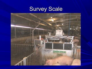 Survey ScaleSurvey Scale
 