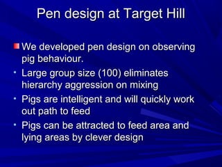 Pen design at Target HillPen design at Target Hill
We developed pen design on observingWe developed pen design on observing
pig behaviour.pig behaviour.
• Large group size (100) eliminatesLarge group size (100) eliminates
hierarchy aggression on mixinghierarchy aggression on mixing
• Pigs are intelligent and will quickly workPigs are intelligent and will quickly work
out path to feedout path to feed
• Pigs can be attracted to feed area andPigs can be attracted to feed area and
lying areas by clever designlying areas by clever design
 