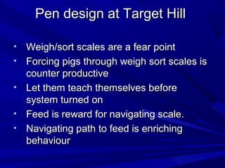 Pen design at Target HillPen design at Target Hill
• Weigh/sort scales are a fear pointWeigh/sort scales are a fear point
• Forcing pigs through weigh sort scales isForcing pigs through weigh sort scales is
counter productivecounter productive
• Let them teach themselves beforeLet them teach themselves before
system turned onsystem turned on
• Feed is reward for navigating scale.Feed is reward for navigating scale.
• Navigating path to feed is enrichingNavigating path to feed is enriching
behaviourbehaviour
 