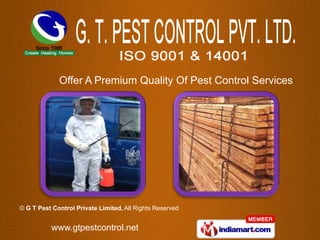Offer A Premium Quality Of Pest Control Services




© G T Pest Control Private Limited, All Rights Reserved


          www.gtpestcontrol.net
 