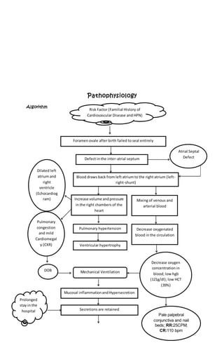 Pathophysiology
Algorithm
Foramen ovale after birth failed to seal entirely
Defect in the inter-atrial septum
Blood draws back from left atrium to the right atrium (left-
right-shunt)
Increase volume andpressure
in the right chambers of the
heart
Ventricular hypertrophy
Atrial Septal
Defect
Mixing of venous and
arterial blood
Decrease oxygen
concentration in
blood; low hgb
(121g/dl); low HCT
(39%)
Decrease oxygenated
blood in the circulation
Pulmonary hypertension
Pulmonary
congestion
and mild
Cardiomegal
y (CXR)
Dilated left
atrium and
right
ventricle
(Echocardiog
ram)
DOB
Mucosal inflammationandHypersecretion
Secretions are retained
Risk Factor (Familial History of
Cardiovascular Disease and HPN)
Prolonged
stay in the
hospital
Mechanical Ventilation
Pale palpebral
conjunctiva and nail
beds; RR:25CPM;
CR:110 bpm
 