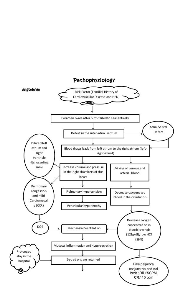 Pathophysiology Of Atrial Septal Defect In Flow Chart