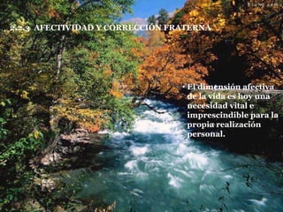 2.2.3  AFECTIVIDAD Y CORRECCIÓN FRATERNA El dimensión afectiva de la vida es hoy una necesidad vital e imprescindible para la propia realización personal. 