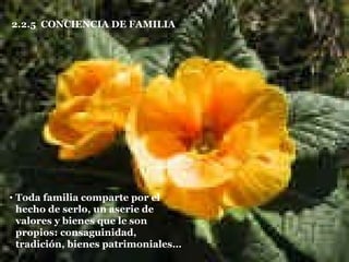 2.2.5  CONCIENCIA DE FAMILIA Toda familia comparte por el hecho de serlo, un aserie de valores y bienes que le son propios: consaguinidad, tradición, bienes patrimoniales… 