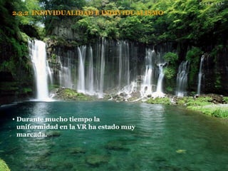 2.3.2  INDIVIDUALIDAD E INDIVIDUALISMO Durante mucho tiempo la uniformidad en la VR ha estado muy marcada. 