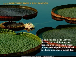 2.3.3 DISPONIBILIDAD Y REALIZACIÓN La radicalidad de la VR y su dinamismo se debe en gran medida al voto de obediencia que trae consigo la posibilidad de  disponibilidad y movilidad. 