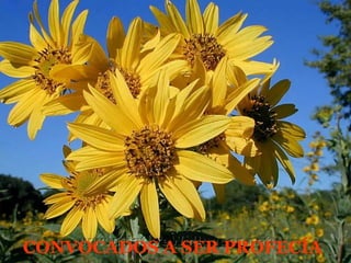 CONVOCADOS A SER PROFECÍA 