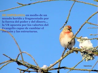DE ESPERANZA   en medio de un mundo herido y fragmentado por la fuerza del poder y del dinero… la VR apuesta por los valortes del Evangelio capaz de cambiar el corazón y las estructuras. 